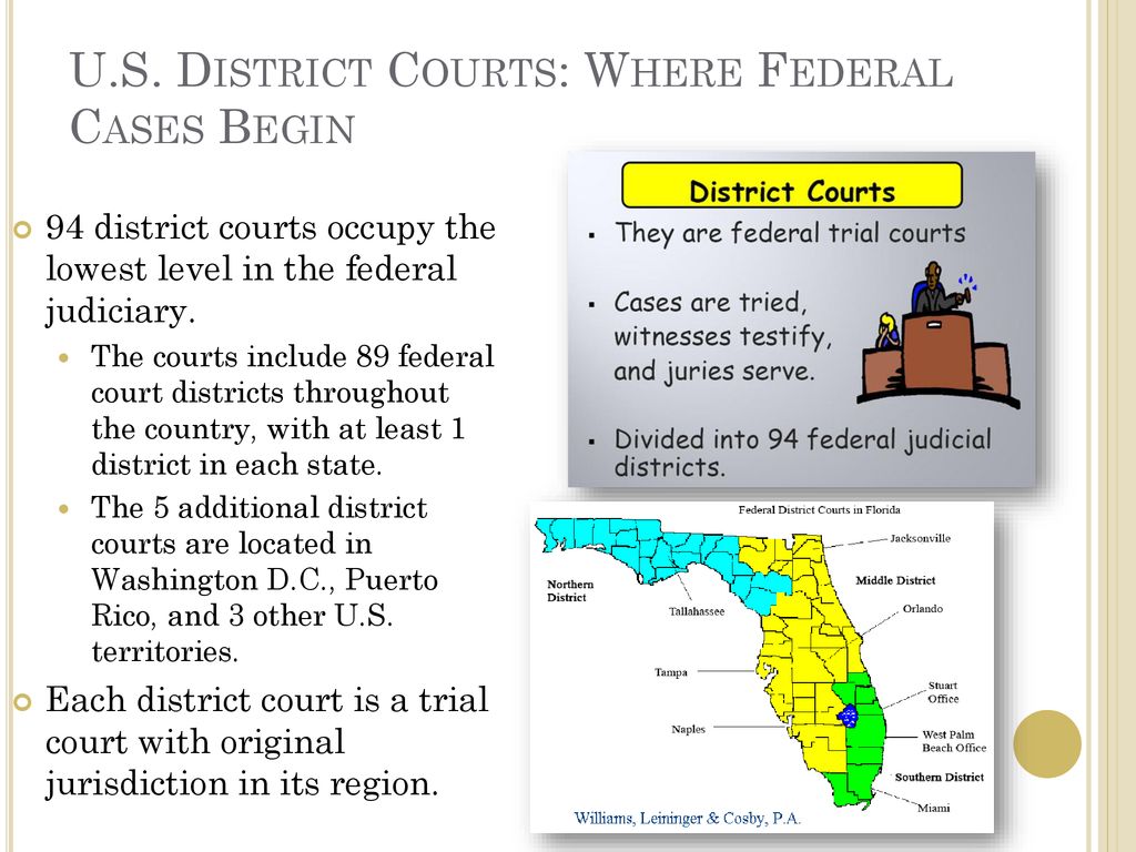 Judges In Federal Appellate Courts Determine Whether Brainly 2024 radiomanual.info